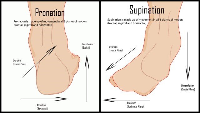 pronated feet